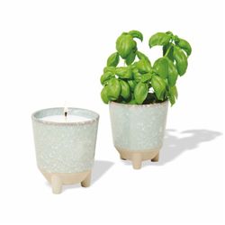 Image of Modern Sprout Glow & Grow Live Well Gift Set