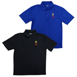 Image of MENS SPIN DYE POLO