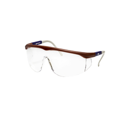 Image of Safety Glasses