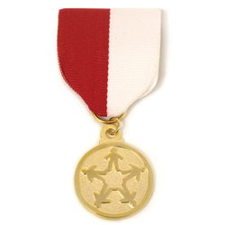 Image of STAR Events—Gold Medal