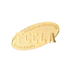 Image of Gold Member Lapel Pin