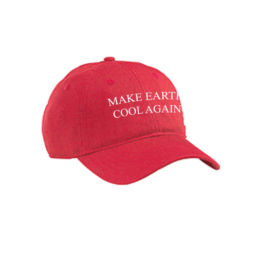 Make Earth Cool Again Organic Hat image thumbnail