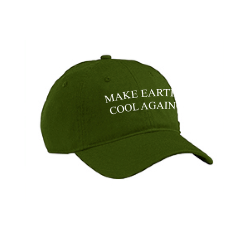 Make Earth Cool Again Organic Hat image thumbnail